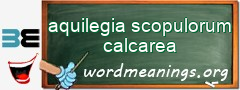 WordMeaning blackboard for aquilegia scopulorum calcarea